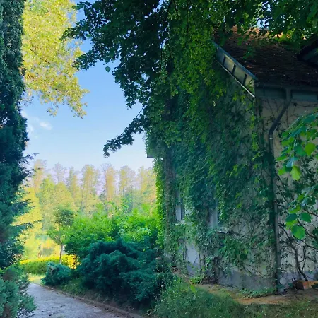 Villa House
