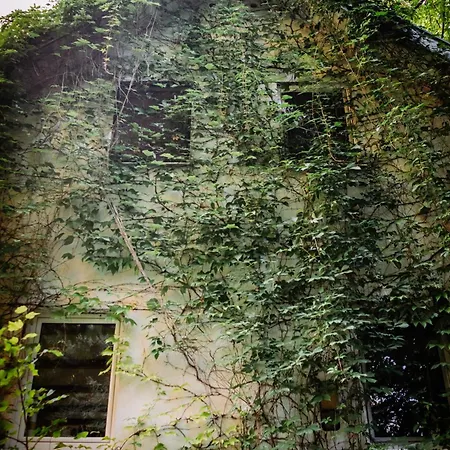 Willa House *