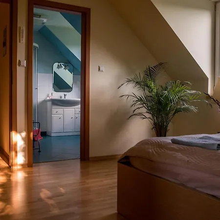 Villa House