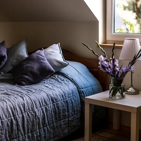 Villa House Lublin